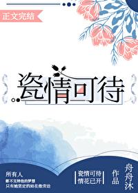瓷情可待封面