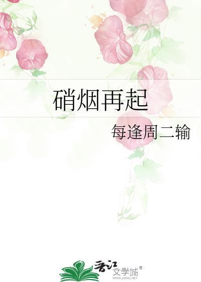 硝烟再起封面