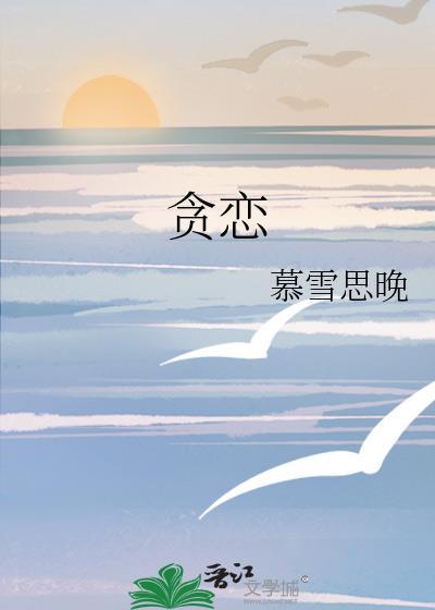 贪恋封面