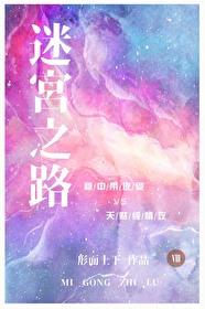 迷宫之路封面