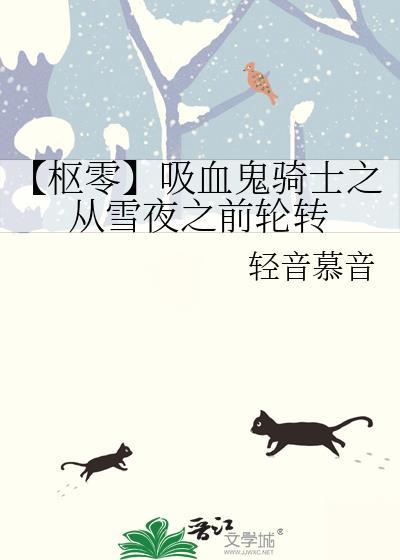 【枢零】吸血鬼骑士之从雪夜之前轮转封面