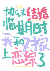 协议结婚临期时我和对家上恋综了封面