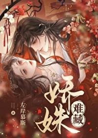 娇姝难藏封面