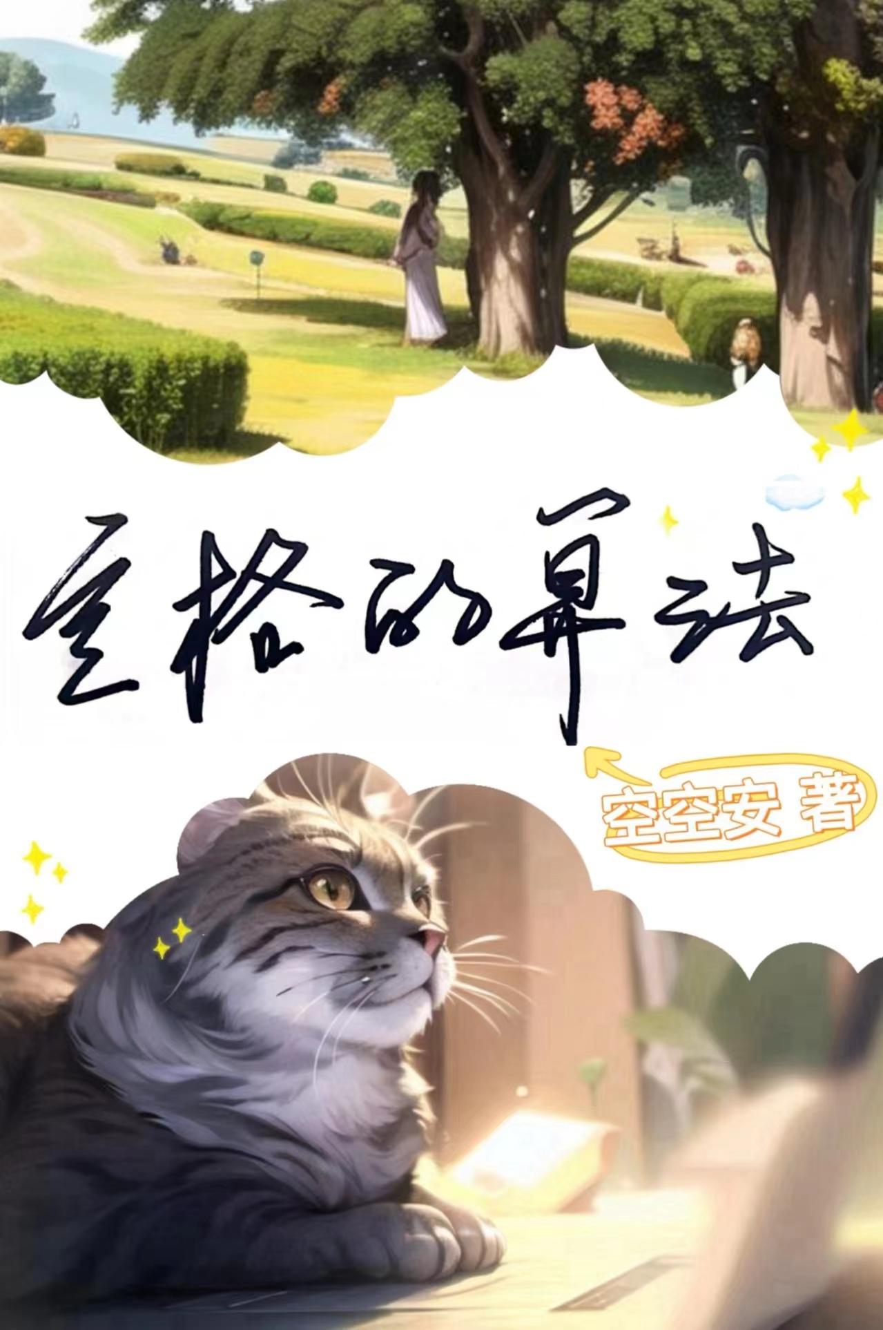 定格的算法封面
