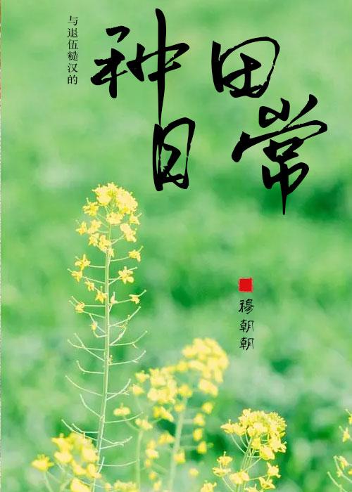 与退伍糙汉的种田日常封面