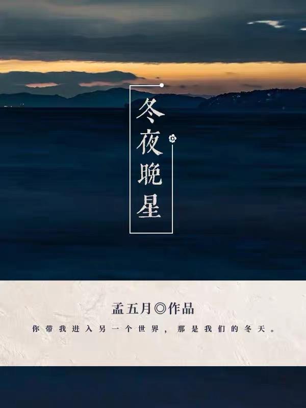 冬夜晚星封面