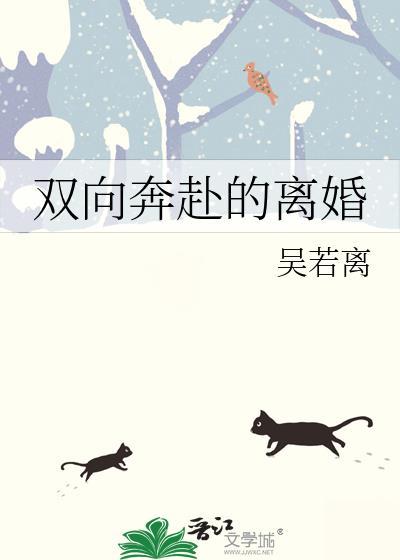 双向奔赴的离婚封面