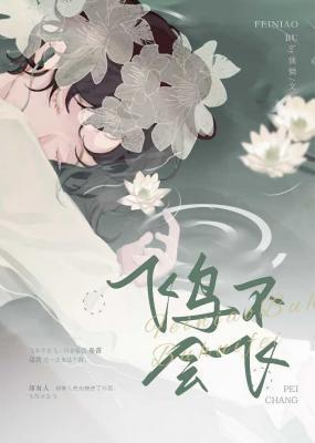 飞鸟不会飞封面