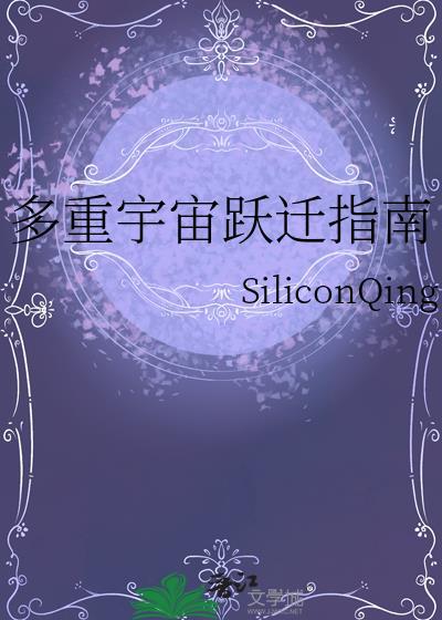 多重宇宙跃迁指南封面