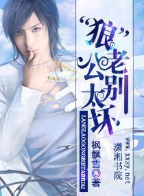 “狼”性老公别太坏封面
