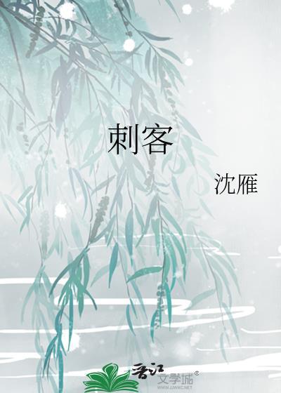 刺客封面