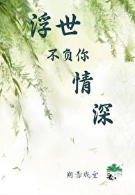 浮世不负你情深封面