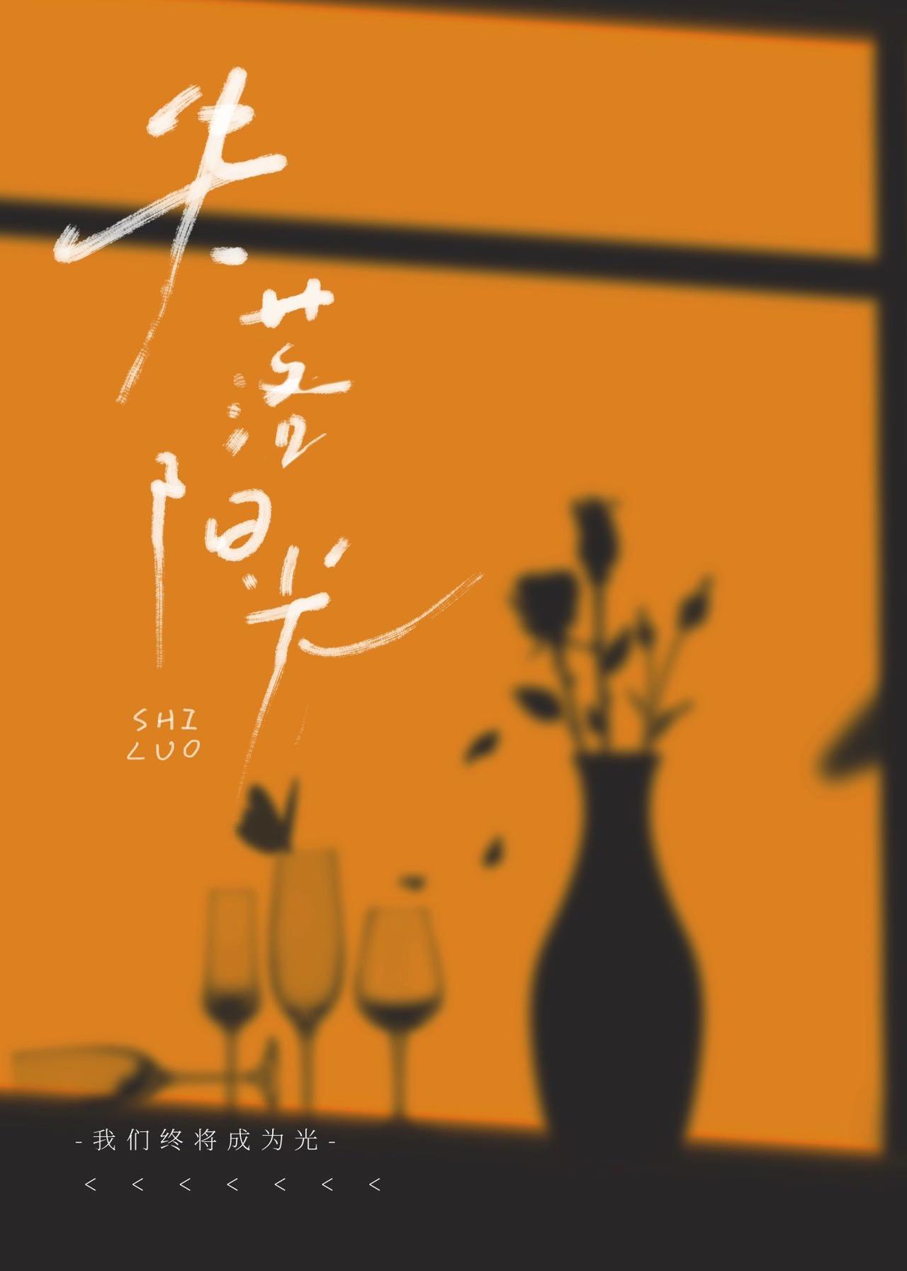 失落阳光封面