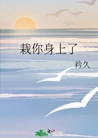 栽你身上了封面