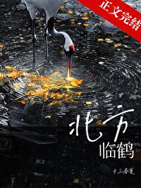 北方临鹤封面