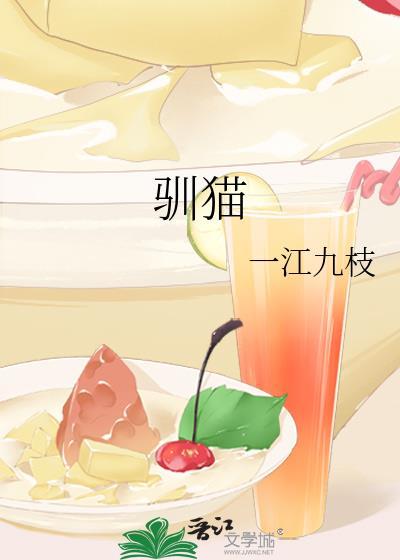 驯猫封面