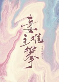 妻主难攀（女尊）封面