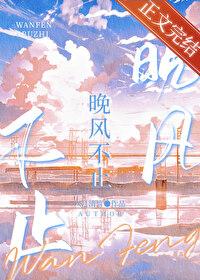 晚风不止封面