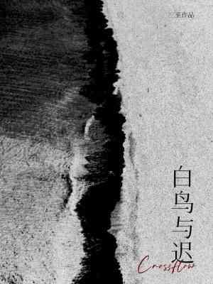 白鸟与迟封面