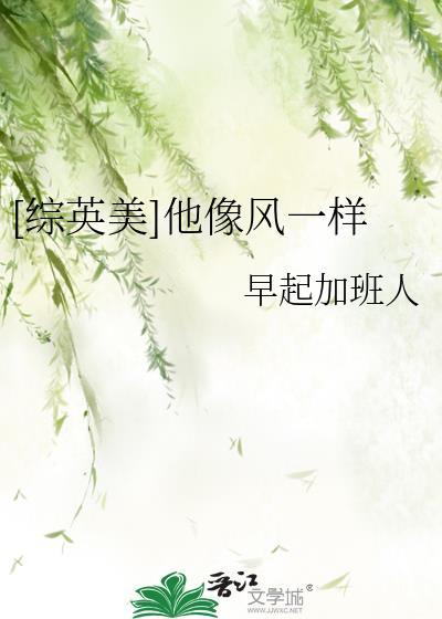 [综英美]他像风一样封面