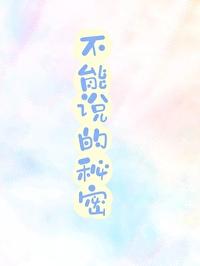 不能说的秘密封面