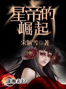星帝的崛起封面