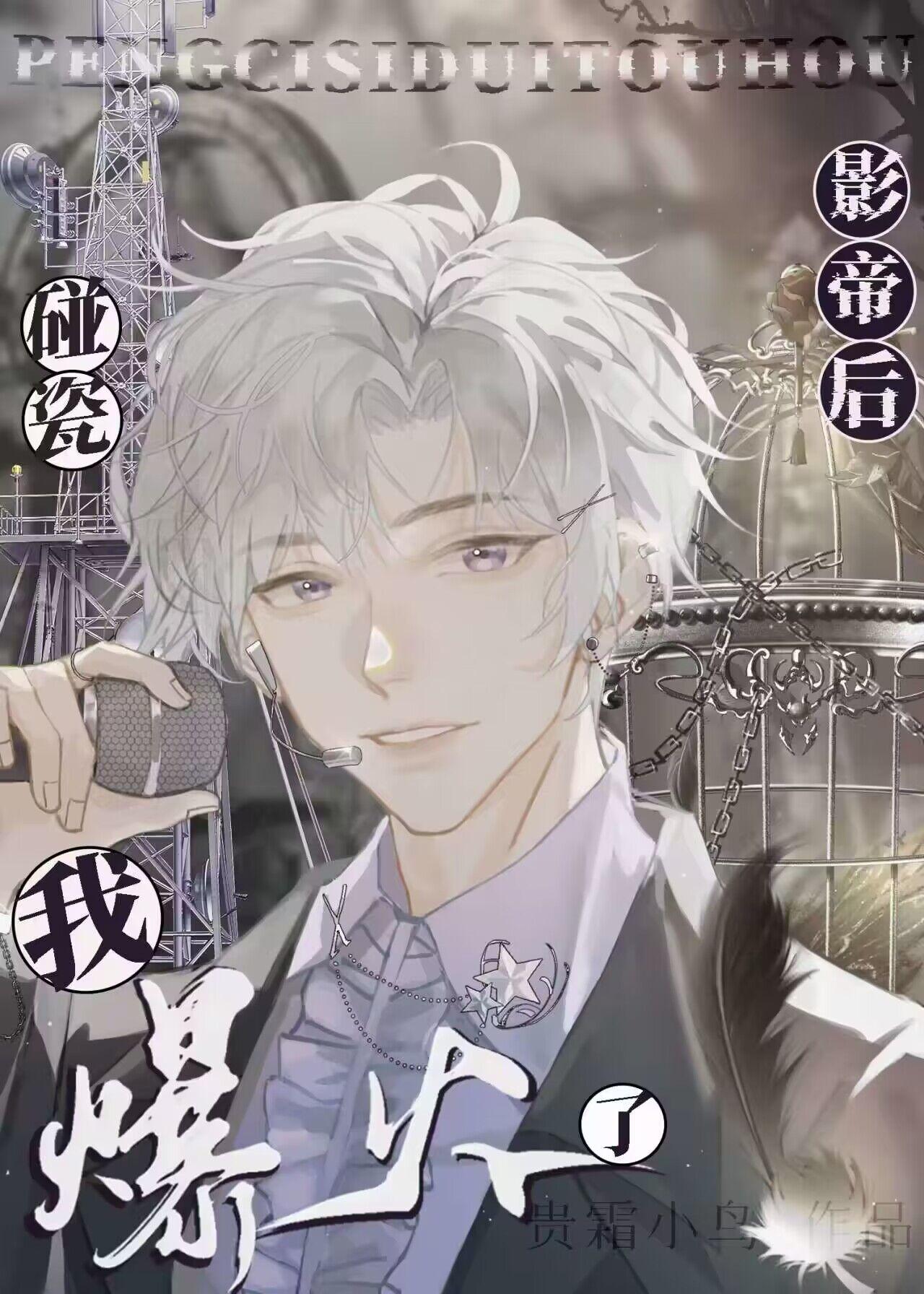 碰瓷影帝后我爆火了[娱乐圈]封面