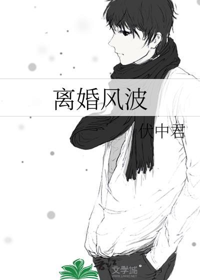 离婚风波封面