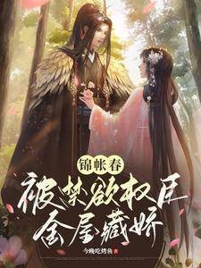 锦帐春：被禁欲权臣金屋藏娇封面