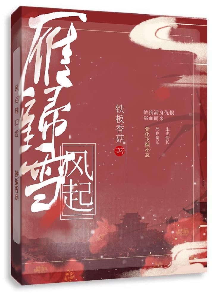 风起雁归雪封面