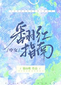 中女翻红指南封面