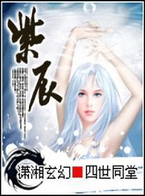 紫辰封面