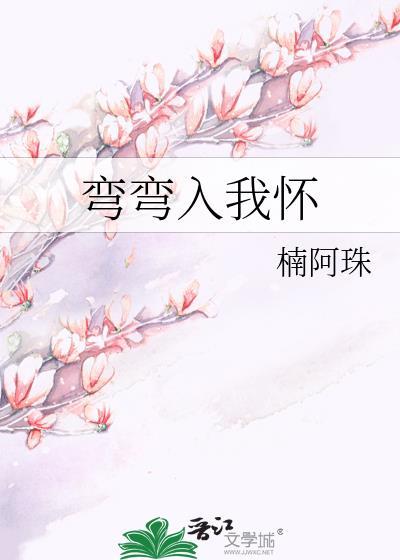 弯弯入我怀封面