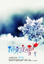 柳寒夜雪封面