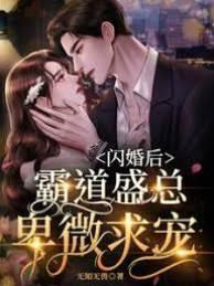 闪婚后，霸道盛总卑微求宠封面