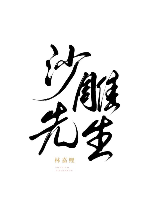 沙雕先生封面