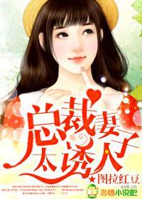 总裁妻子太诱人封面