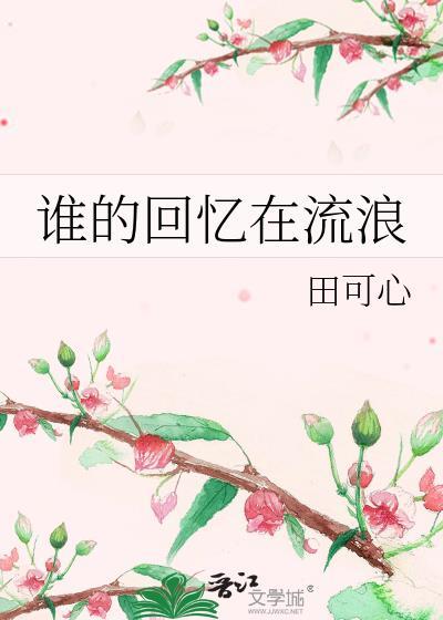 谁的回忆在流浪封面