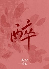 醉封面