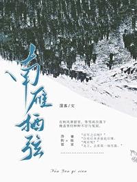 南雁栖弦封面
