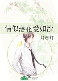 情似落花爱如沙封面