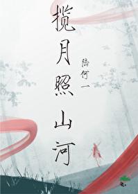 揽月照山河封面