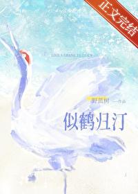 似鹤归汀封面