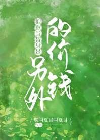 抱歉，当替身是另外的价钱封面