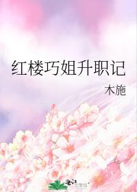 红楼巧姐升职记封面