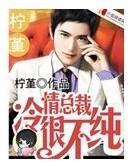 冷情总裁很不纯封面