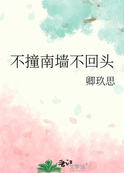不撞南墻不回头封面
