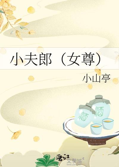 小夫郎（女尊）封面