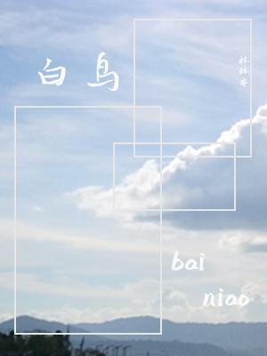 白鸟封面