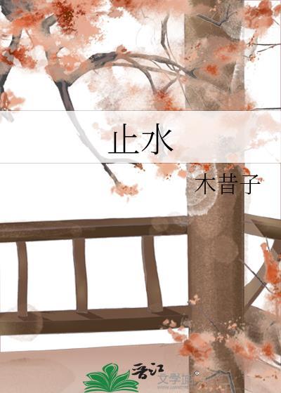 止水封面